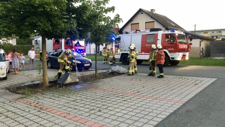 Wiesenbrand beim Gasthof zum Flughafen