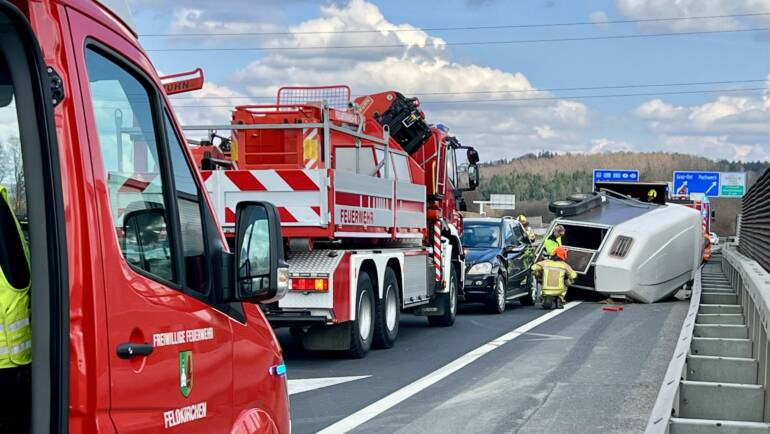 Pferderettung nach Verkehrsunfall auf der A2 Südautobahn